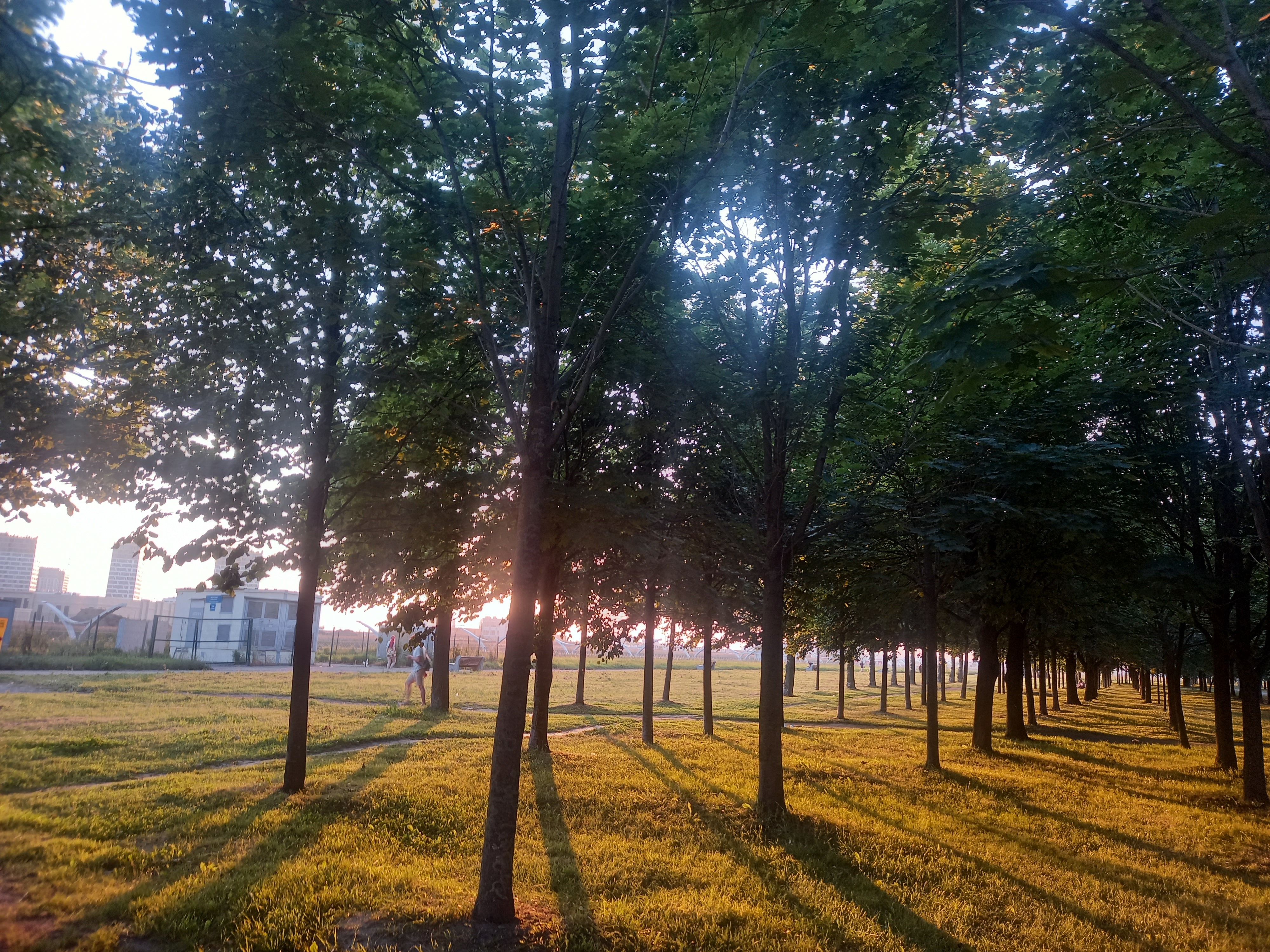 ���� ����� ���� 